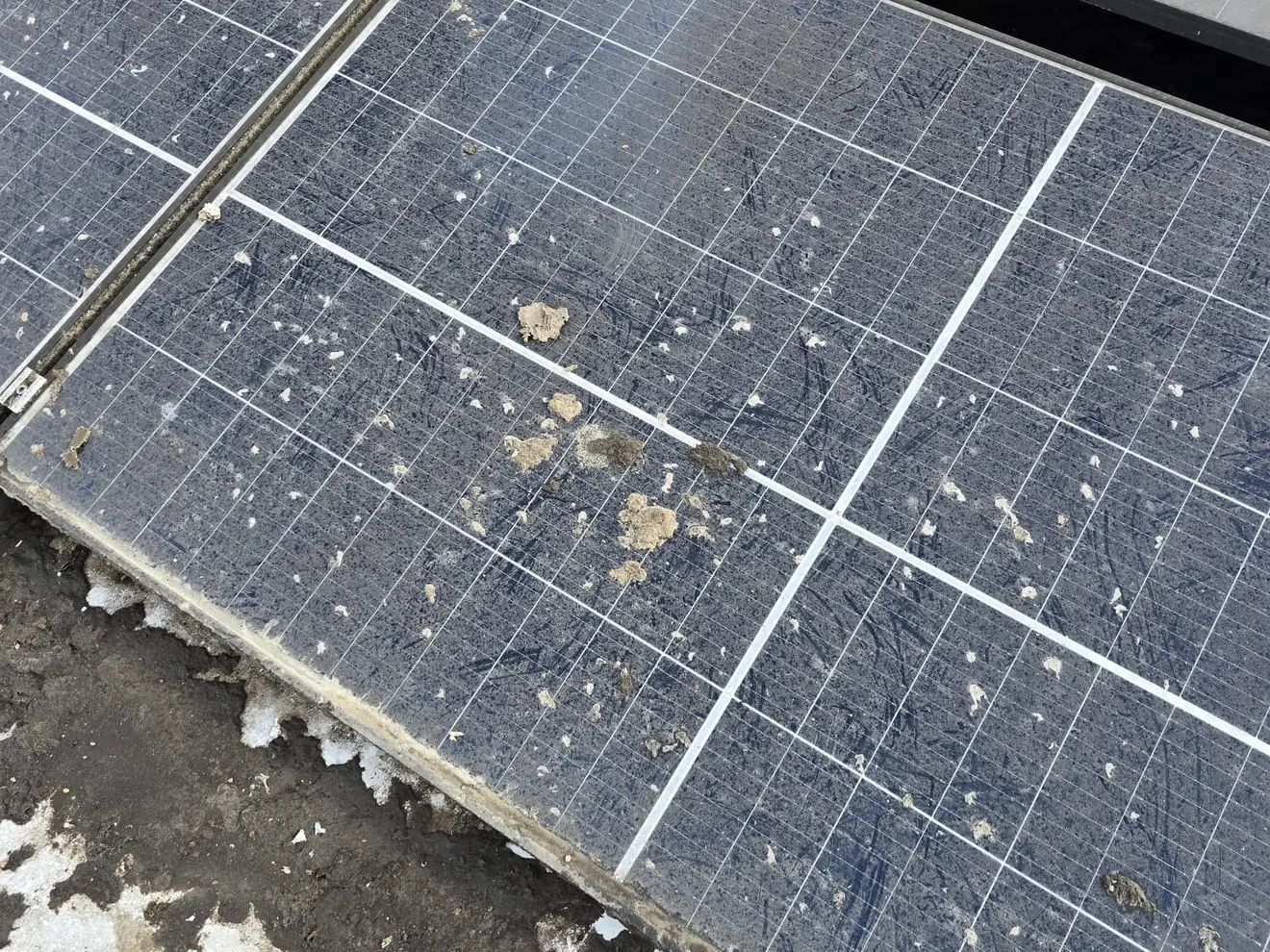 Vorher: verschmutzte PV-Module